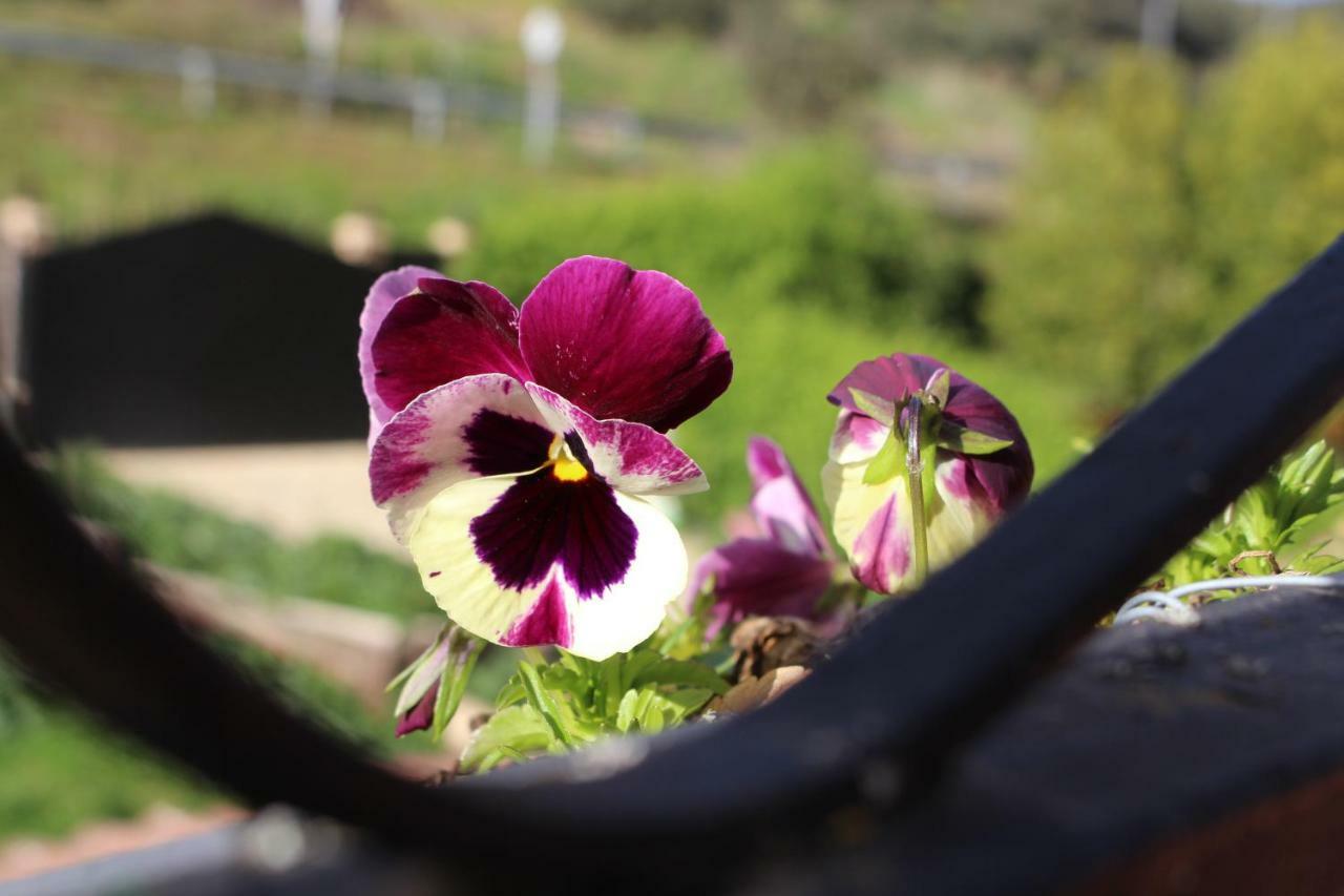 דירות קזאיה דה לה סיירה El Balcon Del Hueznar מראה חיצוני תמונה