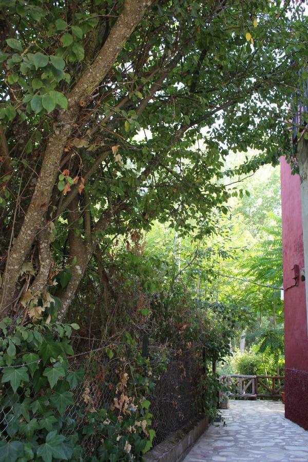 דירות קזאיה דה לה סיירה El Balcon Del Hueznar מראה חיצוני תמונה